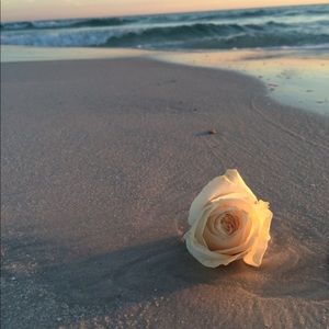 Meet your Posher, Ana